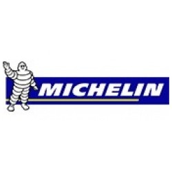 MICHELIN 190/50R17 Power GP R 73 W