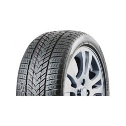 Roadmarch WINTERXPRO 999 (Ratlankio apsauga) 275/50R21 113H 2021