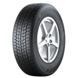 Gislaved Euro Frost 6 205/55R16 91H