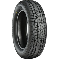 GRIPMAX SUREGRIP eWINTER XL 235/60R20 108H