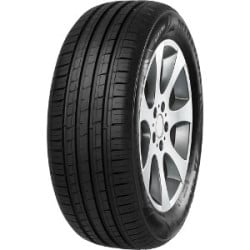 MINERVA F209 XL 225/55R16 99V
