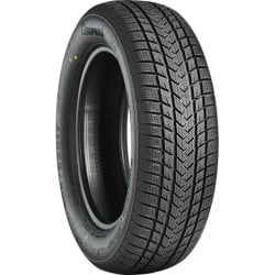 GRIPMAX SUREGRIP eWINTER XL 205/55R17 95V