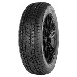 Gripmax Suregrip eWinter (Ratlankio apsauga) 225/45R17 94V XL 2024