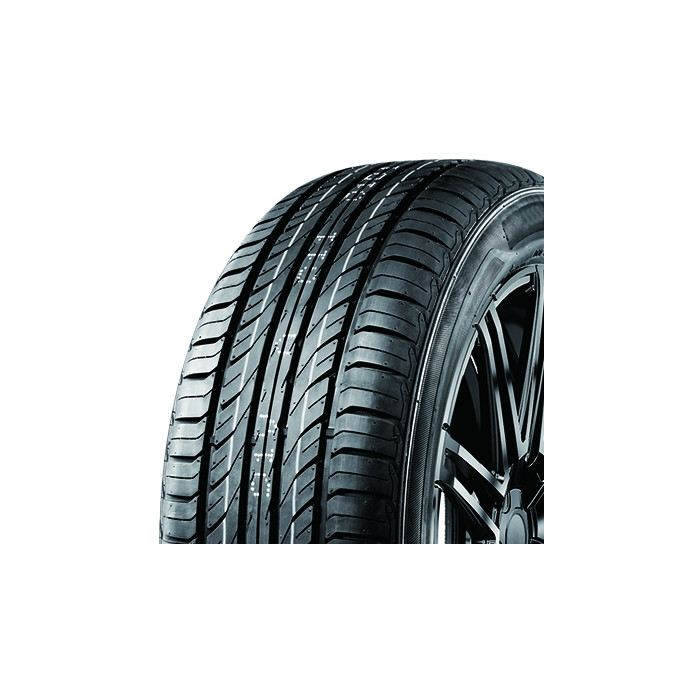 Fronway Ecogreen 66 225/65R17 102H 2024
