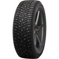 255/40R20 NANKANG SW-9 101T XL