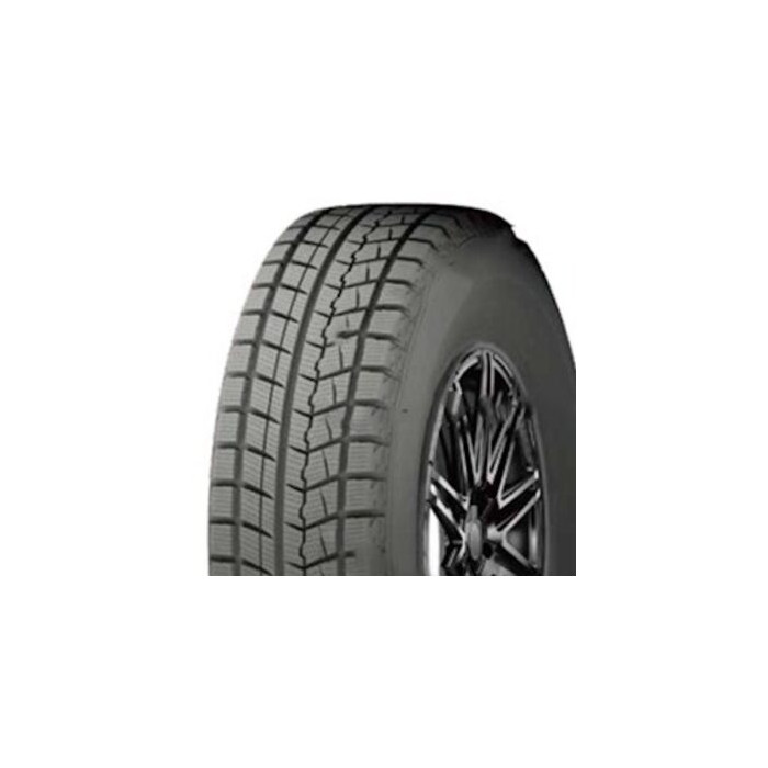 Fronway ICEPOWER 868 (Ratlankio apsauga) 205/55R16 91H 2025