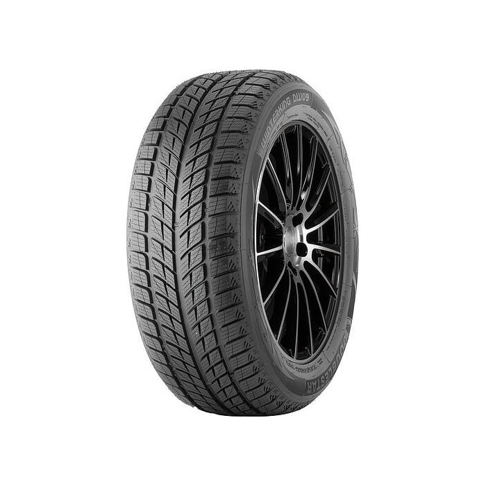DOUBLESTAR 245/40R18 DOUBLESTAR DW09 93H
