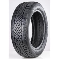 FALKEN EUROWINTER HS02 2024 185/60R15 84T