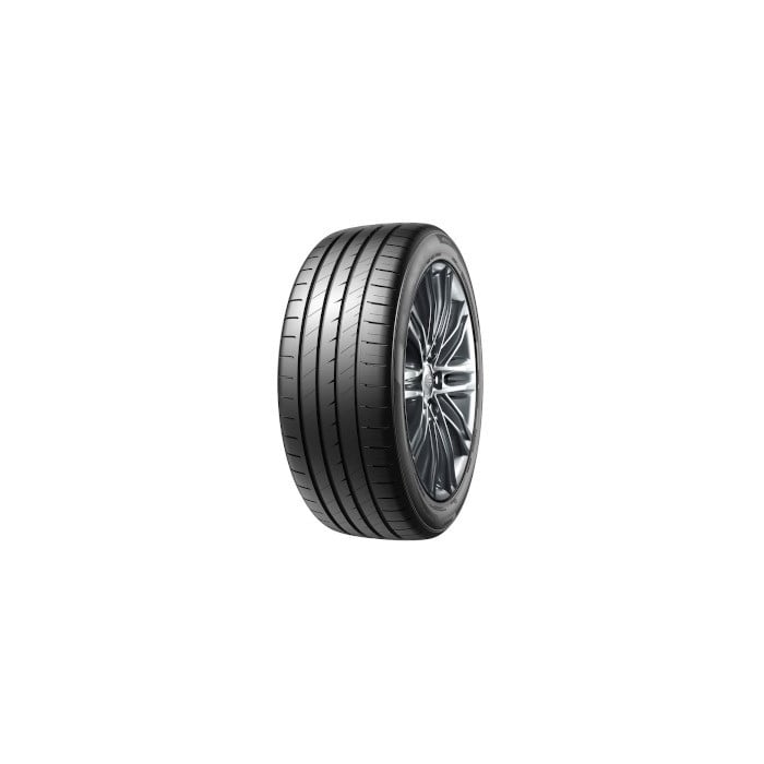Fortuna Ecoplus EV (Ratlankio apsauga) 255/45R20 105W XL 2026