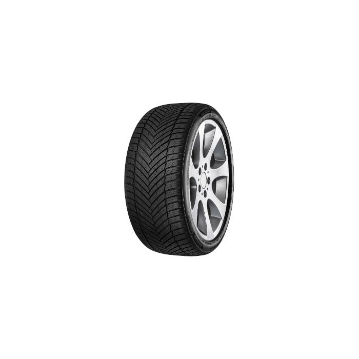 MINERVA AS MASTER XL 255/40R21 102W