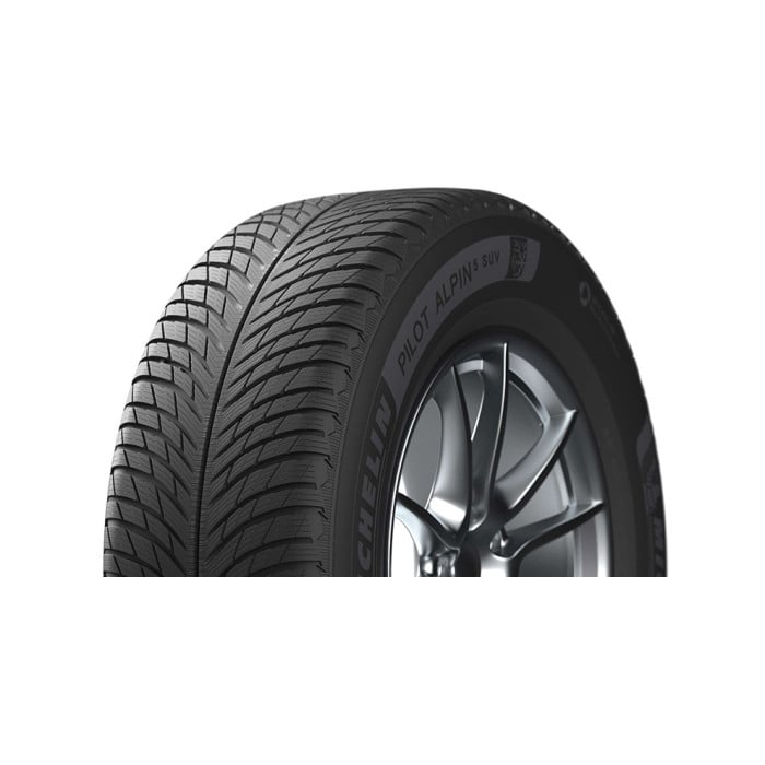 Michelin Pilot Alpin 5 (Ratlankio apsauga) 255/30R19 91W XL 2024 Made in France