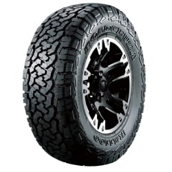 ROADCRUZA RA1100 All Terrain AT Mikroautobusų C 225/65R16 112R