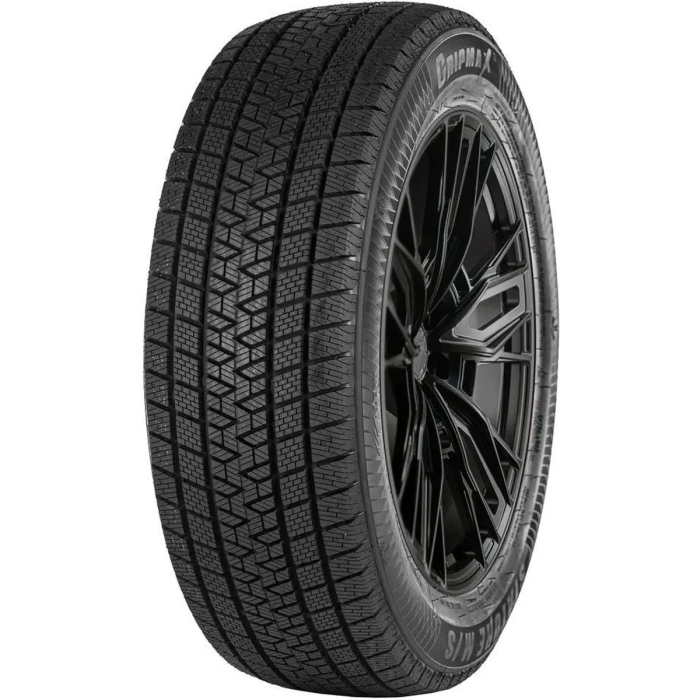 GRIPMAX 255/60R20 113V