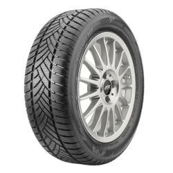 STAR PERFORMER 255/40R19 100V