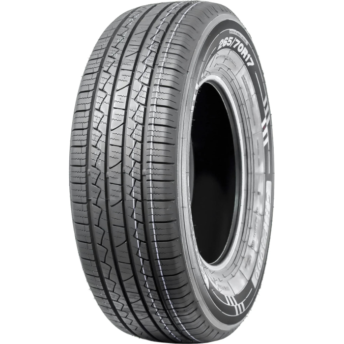 WARRIOR 225/50R17 98V