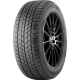 DOUBLESTAR 255/50R20 109H