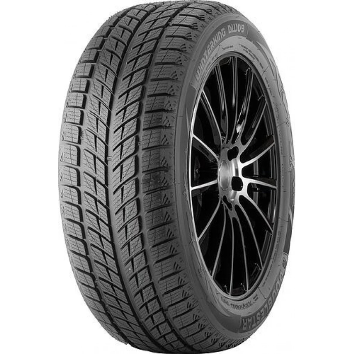 DOUBLESTAR 255/50R20 109H