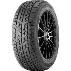 DOUBLESTAR 245/40R18 93H