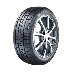 AUTOGREEN 265/60R18 114S