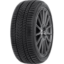 AUTOGREEN 255/40R19 100V