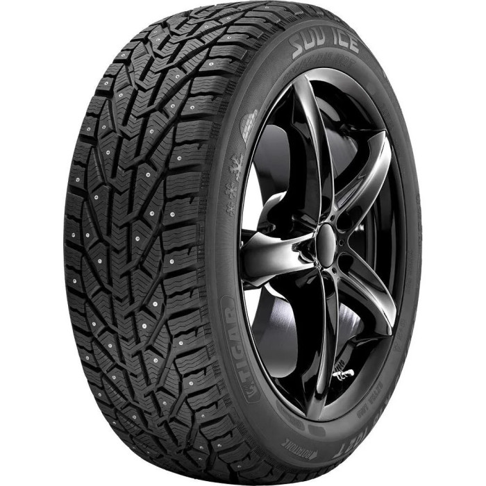 TIGAR Ice EV XL Dygliuotos 2021 195/55R16 91T