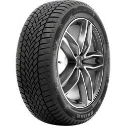 RADAR Dimax Winter SUV EV XL 255/45R20 105W
