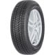 SUNNY NC501 Dygliuotos XL 255/35R19 96Y